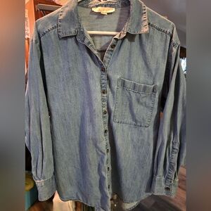 LOFT Women's Casual Light Blue Button Down Shirt